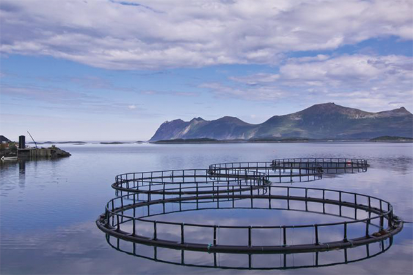 壮丽山川自然景观展示